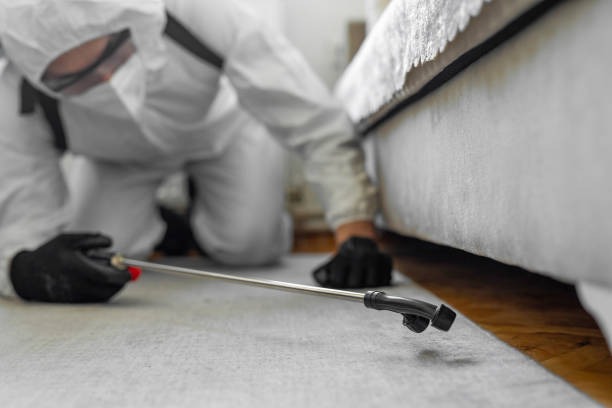 Professional Bed Bug Control technician working in Laurel Hollow, NY