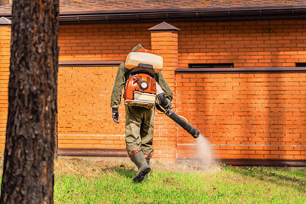 Trusted Emergency Pest Control service in Laurel Hollow, NY - Nex Pest Control
